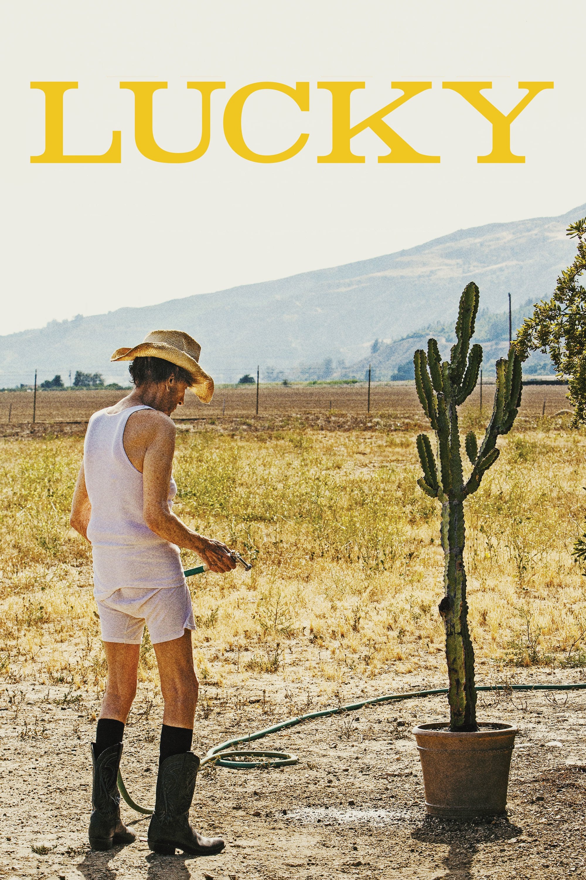 Постер Lucky